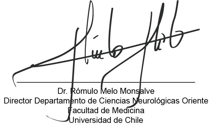 Firma 1